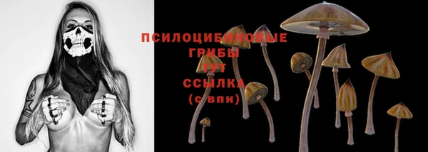 героин Алексин
